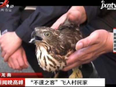 龙南：“不速之客”飞入村民家