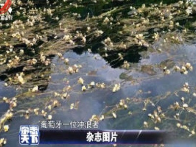 广西：水质风向标