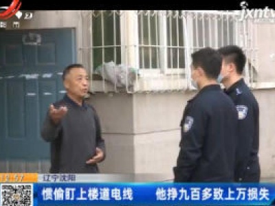 辽宁沈阳：惯偷盯上楼道电线 他挣九百多致上万损失