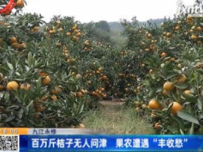 九江永修：百万斤桔子无人问津 果农遭遇“丰收愁”