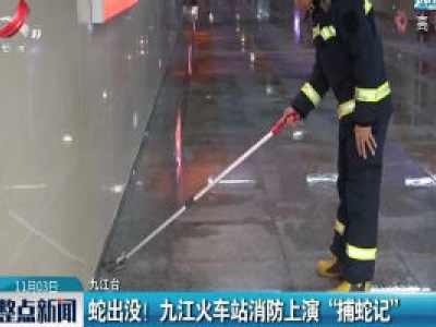 蛇出没！九江火车站消防上演“捕蛇记”