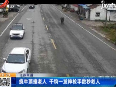 江苏南通：疯牛顶撞老人 千钧一发神枪手数秒救人