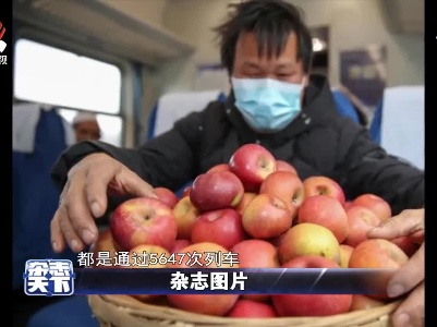 云南昭通苹果果农通过列车运送水果