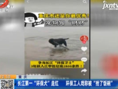 重庆：长江第一“环保犬”走红 环保工人戏称被“抢了饭碗”