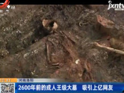 河南洛阳：2600年前的戎人王级大墓 吸引上亿网友