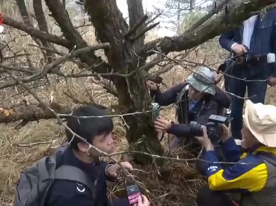 “关注森林 探秘武夷”2020年生态监测活动启动