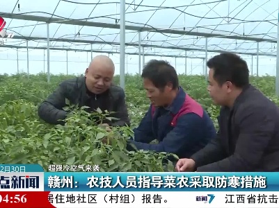 【超强冷空气来袭】赣州：农技人员指导菜农采取防寒措施