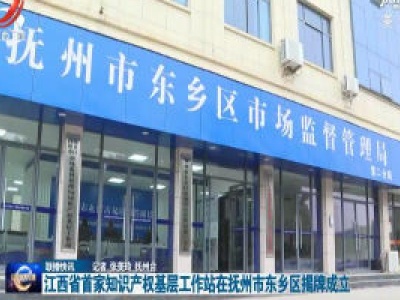 江西省首家知识产权基层工作站在抚州市东乡区揭牌成立 