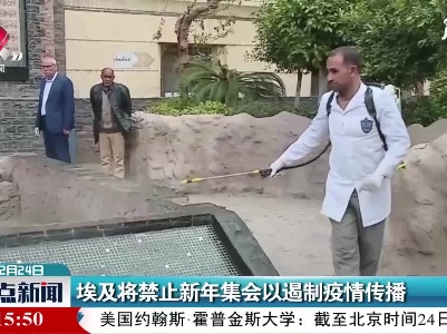 埃及将禁止新年集会以遏制疫情传播