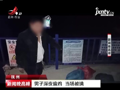 抚州：男子深夜偷鸡 当场被擒