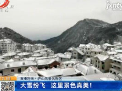 【直播连线】庐山风景名胜区：大雪纷飞 这里景色真美！