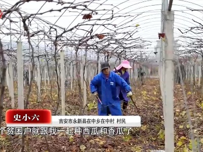 社会传真20201227 我们这五年：老表们的幸福生活