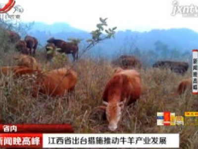 江西省出台措施推动牛羊产业发展