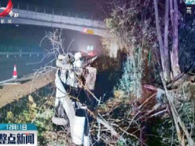 彭湖高速：司机疲劳驾驶 车辆冲出高速爬上树