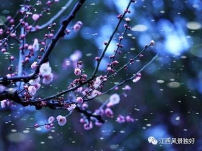 《梅花三弄》与江西