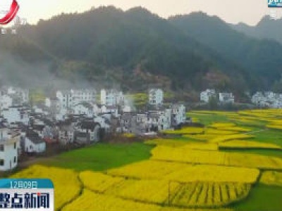 江西5村镇上榜2020年全国乡村特色产业十亿元镇亿元村 