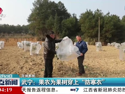 【防御寒潮】武宁：果农为果树穿上“防寒衣”