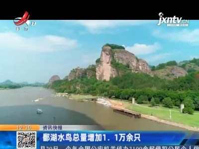 鄱湖水鸟总量增加1.1万余只