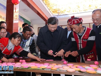 习近平在今年地方考察中，对脱贫攻坚作出哪些重要指示?