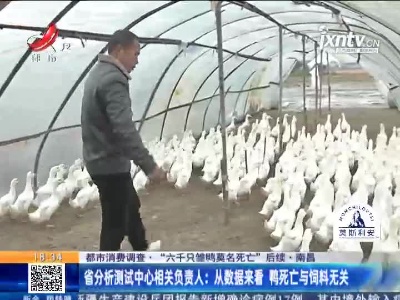 【都市消费调查·“六千只雏鸭莫名死亡”后续·南昌】省分析测试中心负责人：从数据来看 鸭死亡与饲料无关