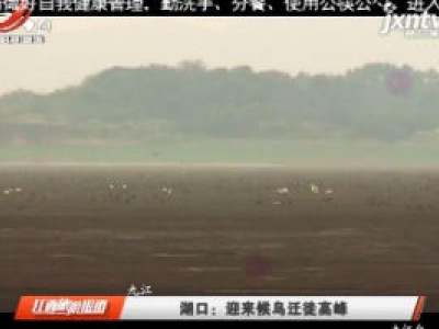 九江湖口：迎来候鸟迁徙高峰