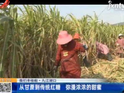 【我们丰收啦】九江湖口：从甘蔗到传统红糖 弥漫浓浓的甜蜜