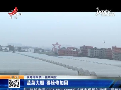 【强寒潮来袭】赣州瑞金：蔬菜大棚 得检修加固