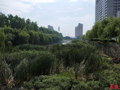 南昌幸福水系八条分支历经8年治理完工 “黑水体”变“城市绿肺”  