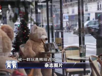 巴黎一家咖啡馆 被一群玩具熊给占领