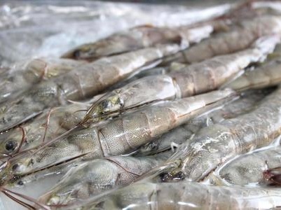 哈市在售前检测中发现一份冷冻食品阳性，连夜紧急处置！