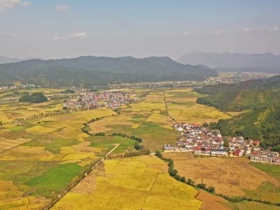 江西今秋气候异常 59个县市区达中至重度寒露风标准