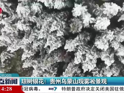 琼树银花！贵州乌蒙山现雾凇景观