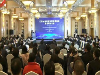 江西省移动物联网高层峰会及成果发布会在京举行