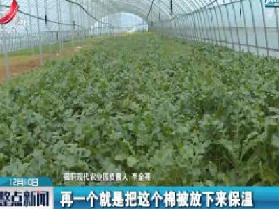 吉安：抓好蔬菜生产 保障市场供应