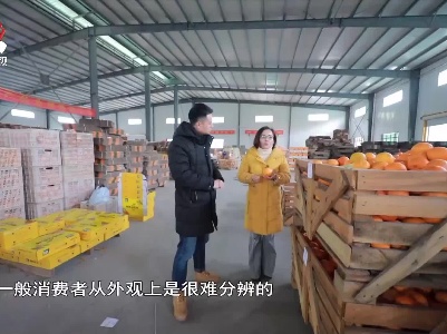 社会传真20201224 李逵遇“李鬼” 地理标志产品如何打假