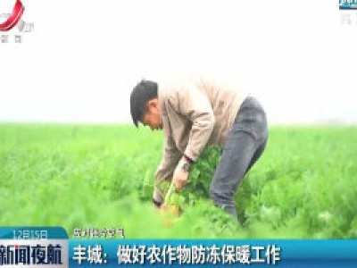 【应对强冷空气】丰城：做好农作物防冻保暖工作