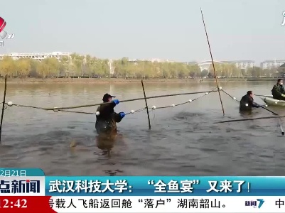 武汉科技大学：“全鱼宴”又来了！