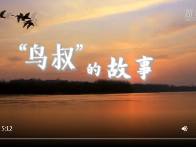 “鸟叔”的故事