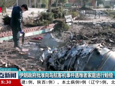 伊朗政府批准向乌航客机事件遇难者家庭进行赔偿