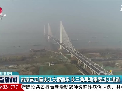 南京第五座长江大桥通车 长三角再添重要过江通道