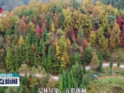 广西：冬染侗乡彩虹森林