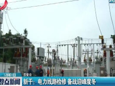 新干：电力线路检修 备战迎峰度冬