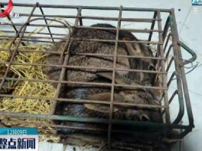 万安：非法猎捕野生动物 他被刑拘  