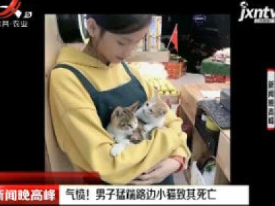 山西：气愤！男子猛踹路边小猫致其死亡