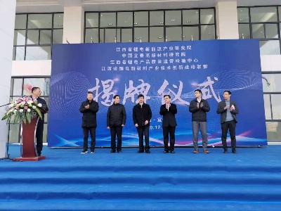 江西省锂电新能源产业研究院暨中国宜春高新材料研究院正式揭牌运行