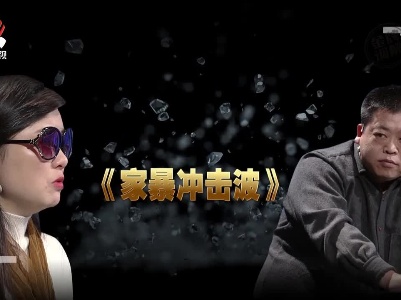 金牌调解20201218 家暴冲击波