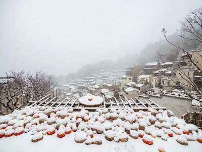 婺源迎来2020年第一场雪，雪中的篁岭美成水墨画
