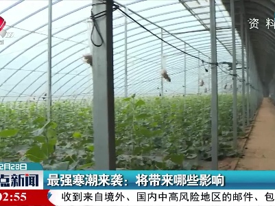 最强寒潮来袭：将带来哪些影响