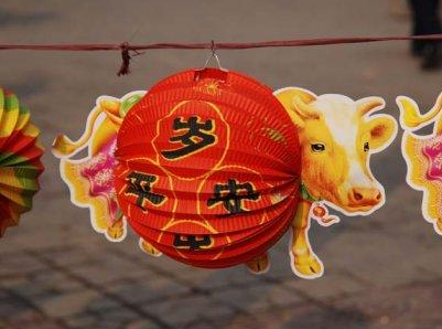 牛年要来了！南昌有500余人姓牛 2300余人名字带牛 