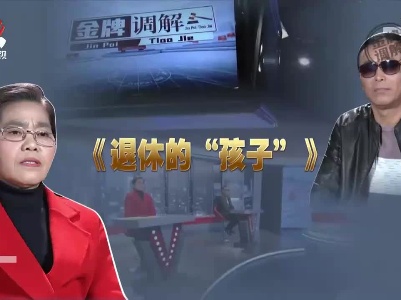 金牌调解20201217 退休的“孩子”